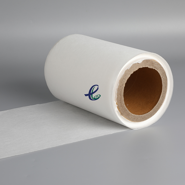 Top 10 Pet Nonwoven Fabric Suppliers in China for Global Buyers?