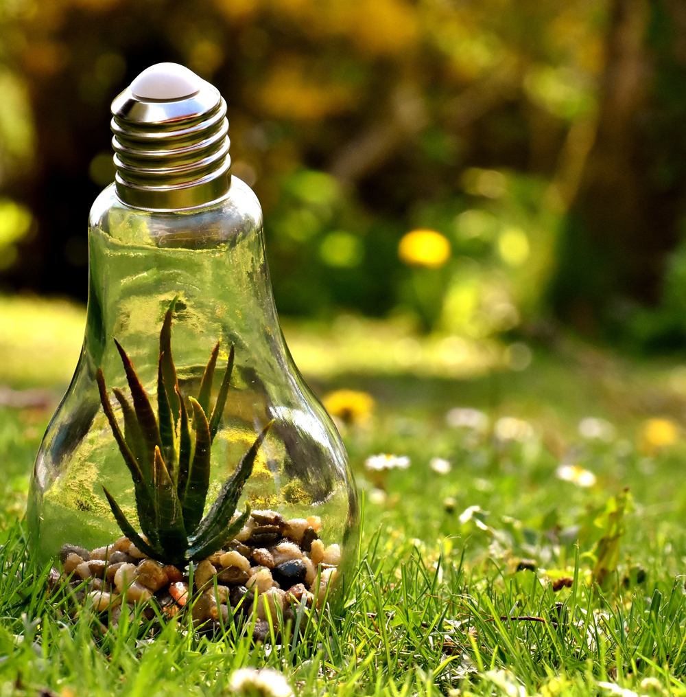 Sustainable-Development-Strategy-and-Commitment